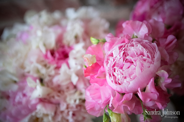 Best Nottoway Plantation Wedding photographer - Sandra Johnson (SJFoto.com)